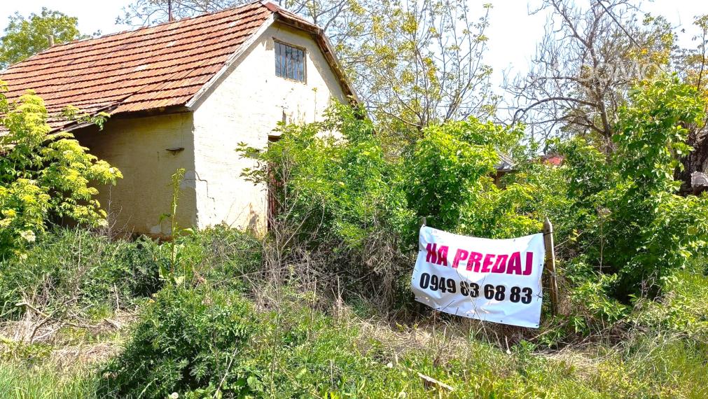 NA PREDAJ - vinice, obec Strekov, výmera 4659 m2