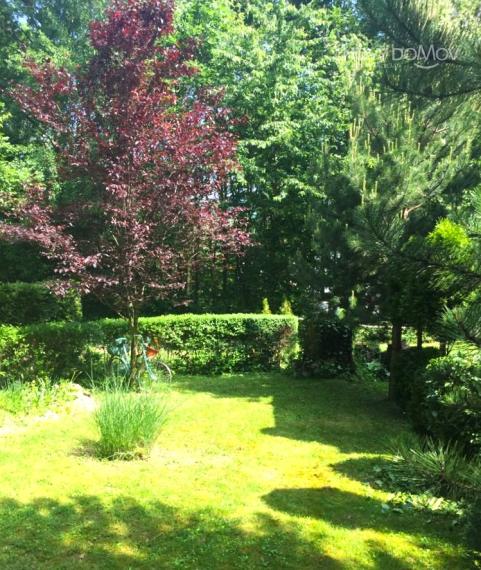 P R E D A J - 158000€/dohoda