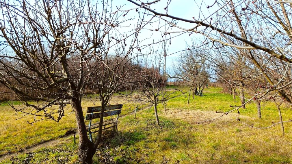 PRIPRAVENÝ NA VÝSTAVBU | Stavebný pozemok v HODOCH bez zbytočných komplikácií