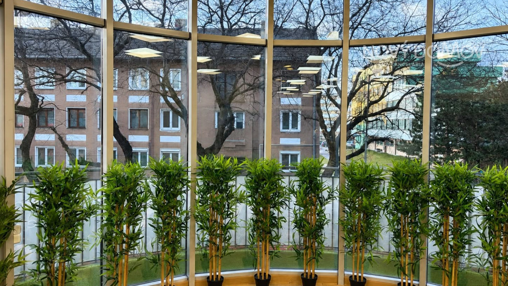 35000€ - zabehnutý biznis na okamžité pokračovanie v Galante