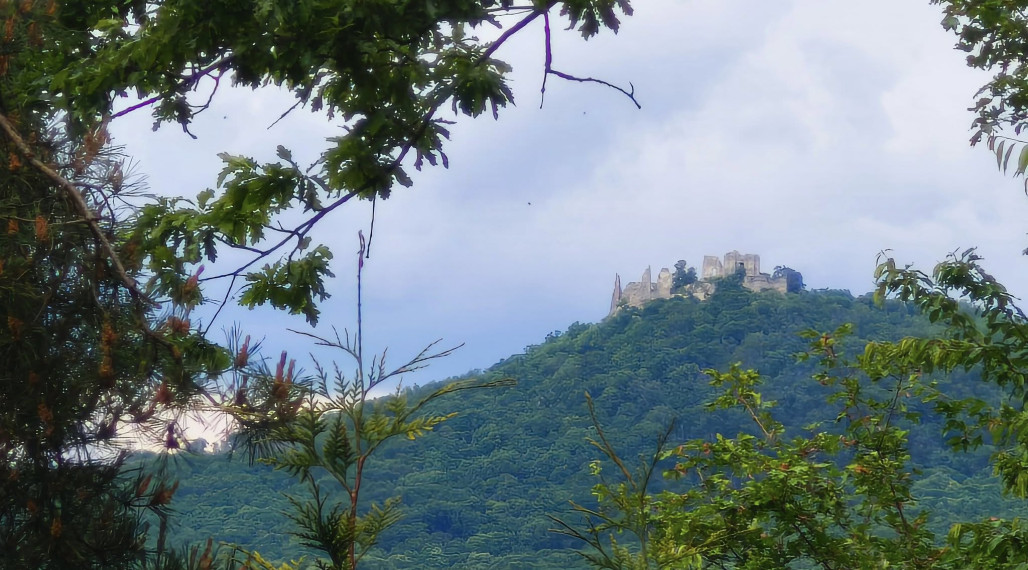 P R E D A J - 158000€/dohoda