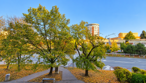 PRENÁJOM - zariadený 3 izbový byt v centre mesta - fotografia 19