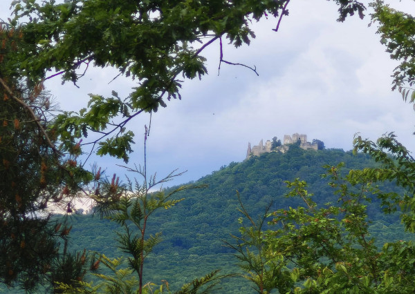 P R E D A J - 158000€/dohoda