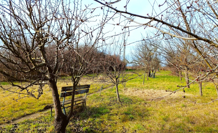 PREDANÝ - fotografia 1