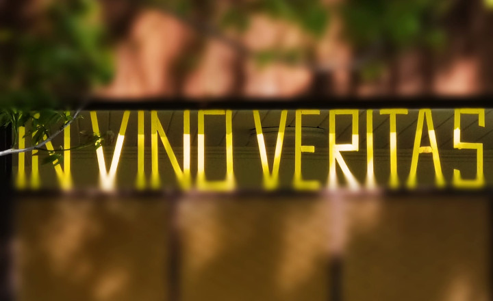 VINOHRAD - predaj - STREKOV - fotografia 5
